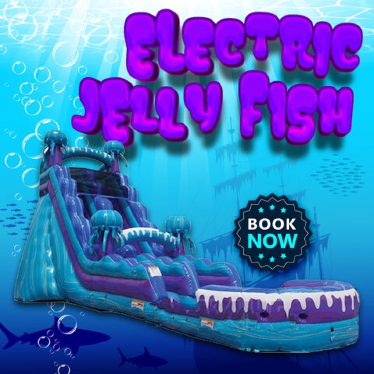 Jellyfish 15ft Water Slide